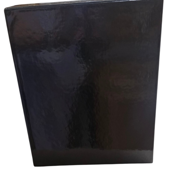 Nora Fleming Black Glossy Mini Charns M4 Display Storage Case - Picture 4 of 11